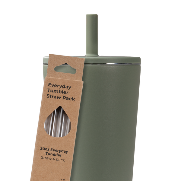 Tumbler Straws 4 Pack 20oz E6